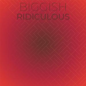 อัลบัม Biggish Ridiculous ศิลปิน Various