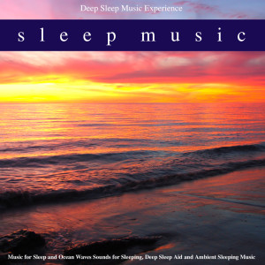 Dengarkan lagu Ocean Waves for Sleep and Relaxation nyanyian Deep Sleep Music Experience dengan lirik