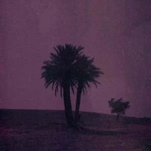 ดาวน์โหลดและฟังเพลง Minimalist Runner พร้อมเนื้อเพลงจาก 昏鴉 (The Murky Crows)