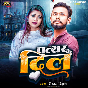 Album Pathar Ke Dil from Birabal Bihari