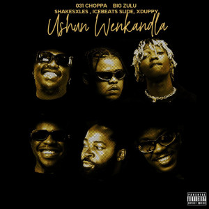 Big Zulu的專輯ushuni we nkandla (feat. Ice Beats Slide, Shakes & Les, Xduppy)
