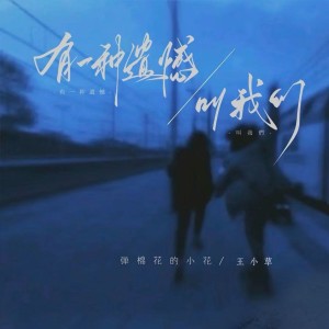 弹棉花的小花的专辑有一种遗憾叫我们（遗憾合唱版）