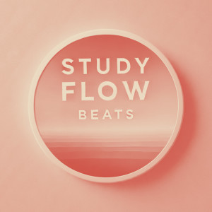 ดาวน์โหลดและฟังเพลง Deep Focus Lofi Study Session พร้อมเนื้อเพลงจาก Study Flow Beats