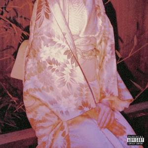 ดาวน์โหลดและฟังเพลง I Heard You Paint Houses (feat. lavaboy) (Explicit) พร้อมเนื้อเพลงจาก $HINJI