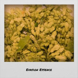 Album Evasion Essence from Various