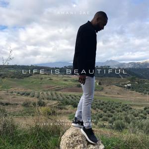收聽Amani Jae的LIFE IS BEAUTIFUL歌詞歌曲