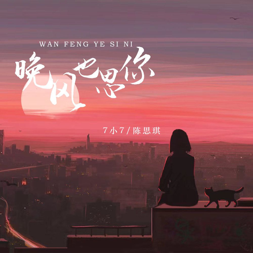 晚风也思你 (DJ默涵版伴奏)