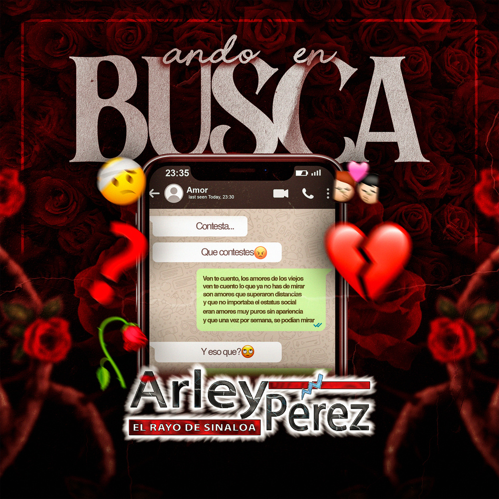 Ando En Busca