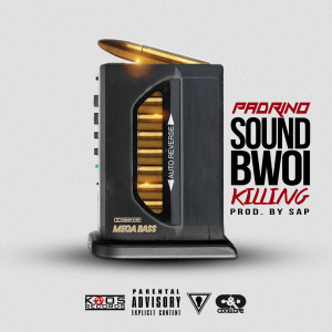 Album Sound Bwoi Killing (Explicit) from 