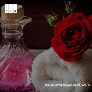 Album Rejuvenative Spa Melodies, Vol. 01 from Various