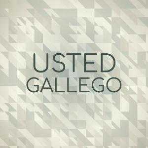 收听Ricel Bred的Usted Gallego歌词歌曲