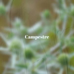 Album Campestre from Various