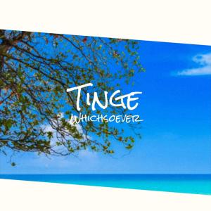 Tinge Whichsoever dari Various