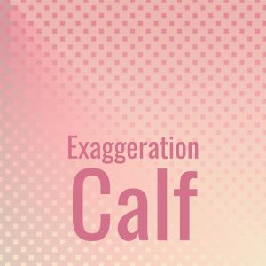 收听Turo Peteer的Exaggeration Calf歌词歌曲