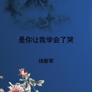 Listen to 是你让我学会了哭 song with lyrics from 雨霖枫