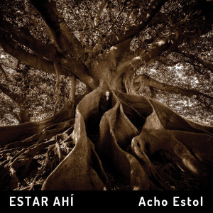 Listen to Casi Humanos song with lyrics from Acho Estol