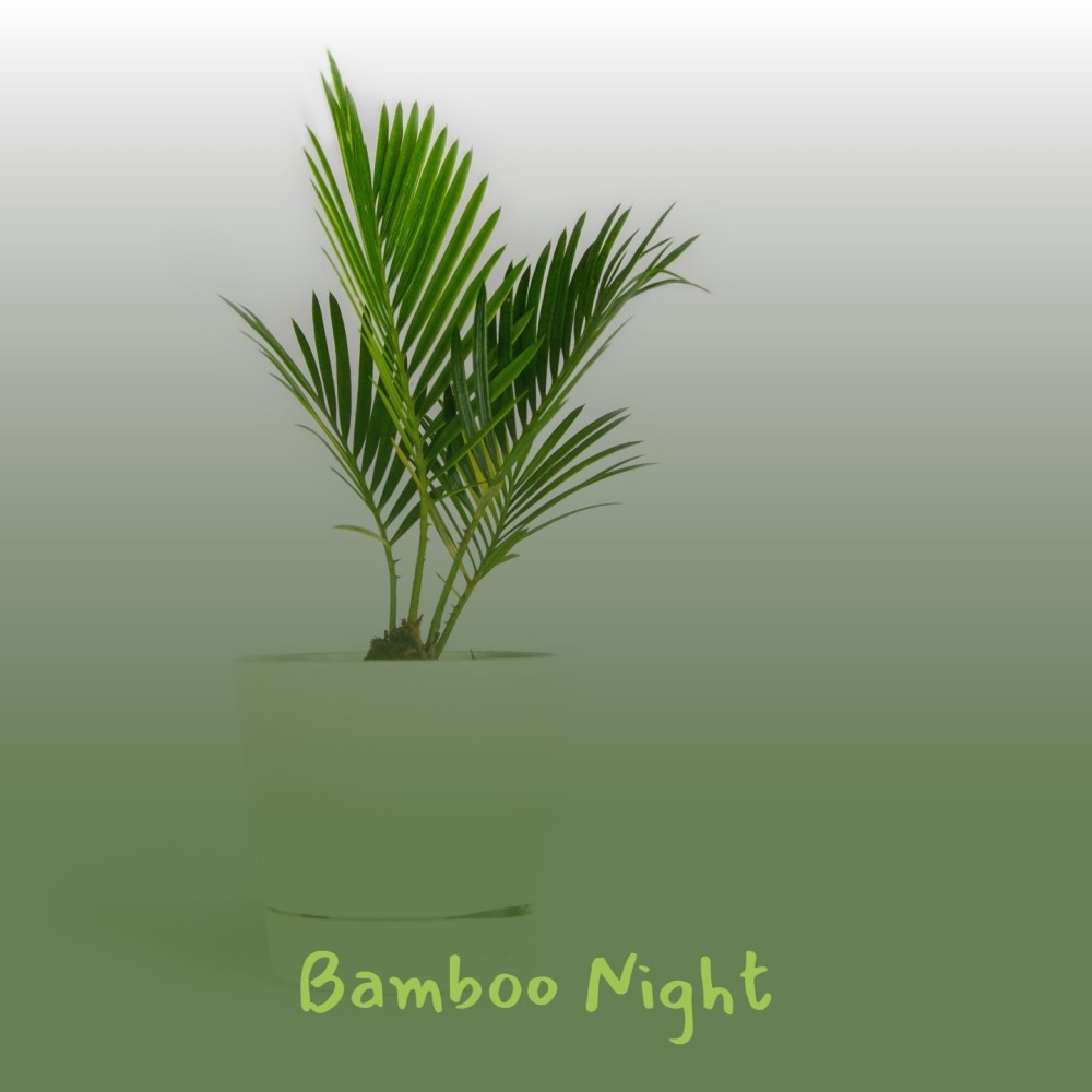 Bamboo Night
