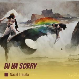 Dengarkan lagu Dj Im Sorry (Remix) nyanyian NACAL TRALALA dengan lirik