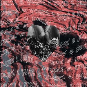 ดาวน์โหลดและฟังเพลง A PUGNI พร้อมเนื้อเพลงจาก Egon