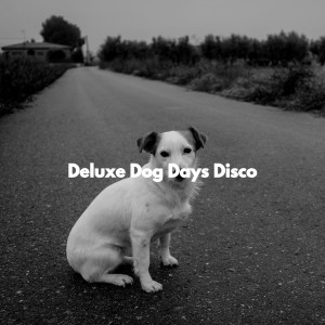 Quiet Dinner Music的專輯Deluxe Dog Days Disco