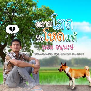 Dengarkan lagu ความโสดคือโหดแท้ nyanyian พอม อนุพงษ์ dengan lirik