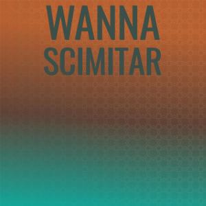 Various Artists的專輯Wanna Scimitar