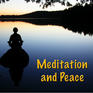 收听Wildlife的The Perfect Planet歌词歌曲