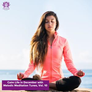 Various Artists的專輯Calm Life in December with Melodic Meditation Tunes, Vol. 10