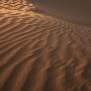 Dengarkan Immerse into Wisdom lagu dari Rain for Deep Sleep dengan lirik