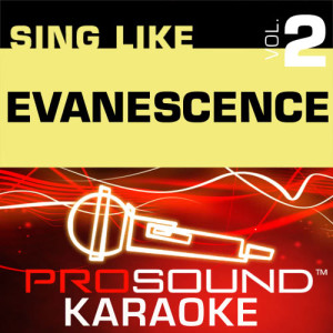 ดาวน์โหลดและฟังเพลง Imaginary (Karaoke Lead Vocal Demo) [In the Style of Evanescence] พร้อมเนื้อเพลงจาก ProSound Karaoke Band