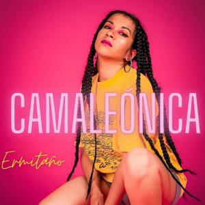 ดาวน์โหลดและฟังเพลง Ermitaño พร้อมเนื้อเพลงจาก camaleónica