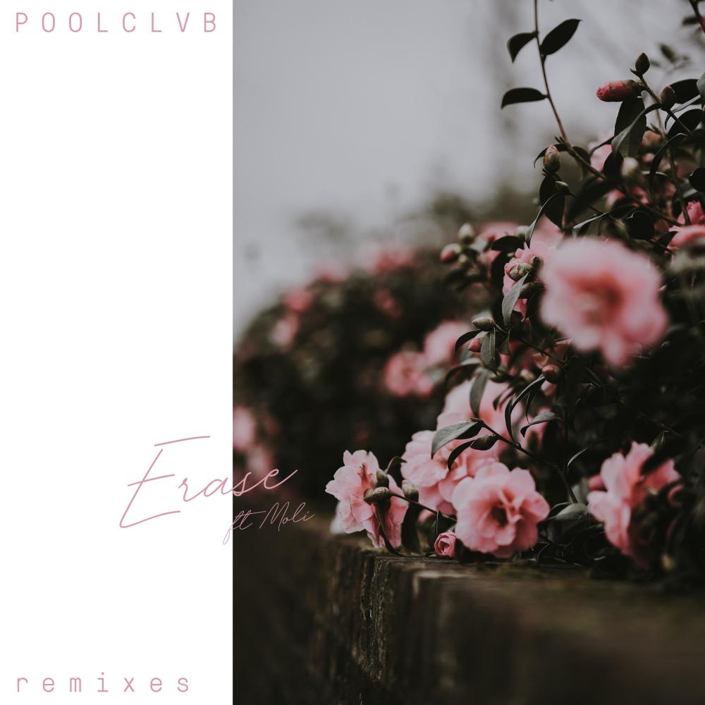 Erase (其他|Mark Lower Remix)