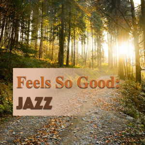 Various的专辑Feels So Good: Jazz