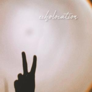 ดาวน์โหลดและฟังเพลง echolocation พร้อมเนื้อเพลงจาก Angel Heart
