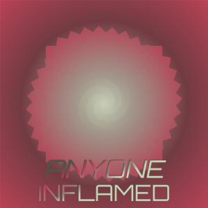 Various Artists的專輯Anyone Inflamed