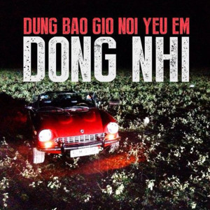 Album Đừng Bao Giờ Nói Yêu Em (Explicit) from Đông Nhi