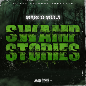 收聽Marco Mula的Shrek (Explicit)歌詞歌曲