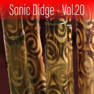 Sonic Didge, Vol. 20