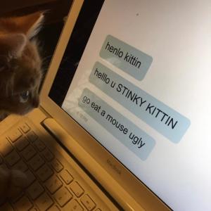 收聽Litterbox的+twitter_fingerz*^! (Explicit)歌詞歌曲