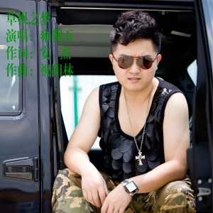Album 草根之梦 from 
