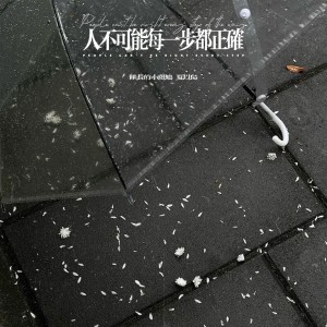 队长的小斑鸠的专辑人不可能走的每一步都正确（说唱版）
