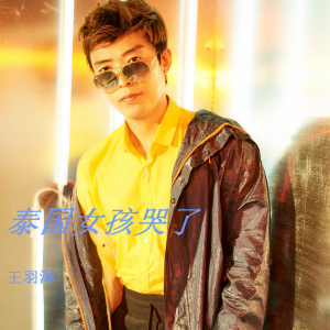 Listen to 泰国女孩哭了 (伴奏) song with lyrics from 王羽泽