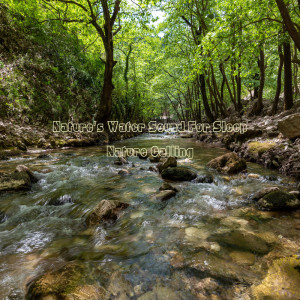 ดาวน์โหลดและฟังเพลง ASMR Flowing Water In The Mountains พร้อมเนื้อเพลงจาก 네이쳐콜링