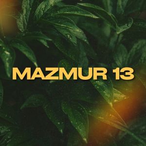 อัลบัม Mazmur 13 ศิลปิน Philip Mantofa