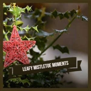 Listen to I Wish It Could Be Christmas Everyday song with lyrics from Roy Wood