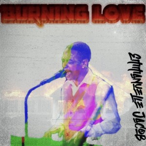 ดาวน์โหลดและฟังเพลง Burning Love (Remix Cover) พร้อมเนื้อเพลงจาก Emmanuelle Jacob