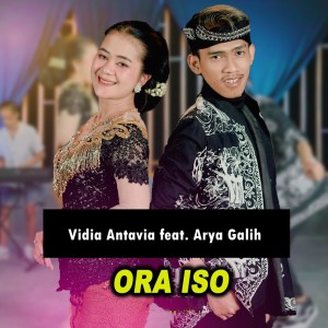 Dengarkan Ora Iso (Cover) lagu dari Vidia Antavia dengan lirik