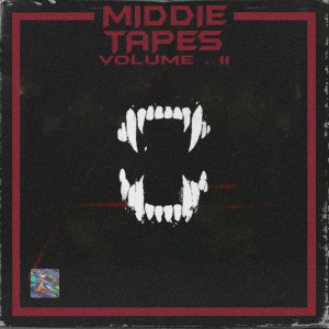 Listen to Link song with lyrics from MiddieBeats