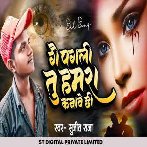 Listen to Ge Pagali Tu Hamara Kanave Chhi song with lyrics from Sujeet Raja