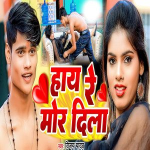 Listen to Hay Re Mor Dila song with lyrics from Vijay Yadav